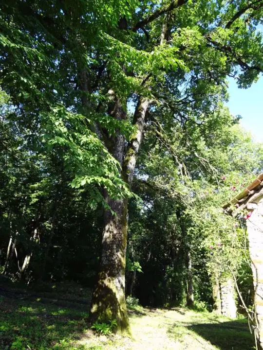 Casa Indipendente - Image 9