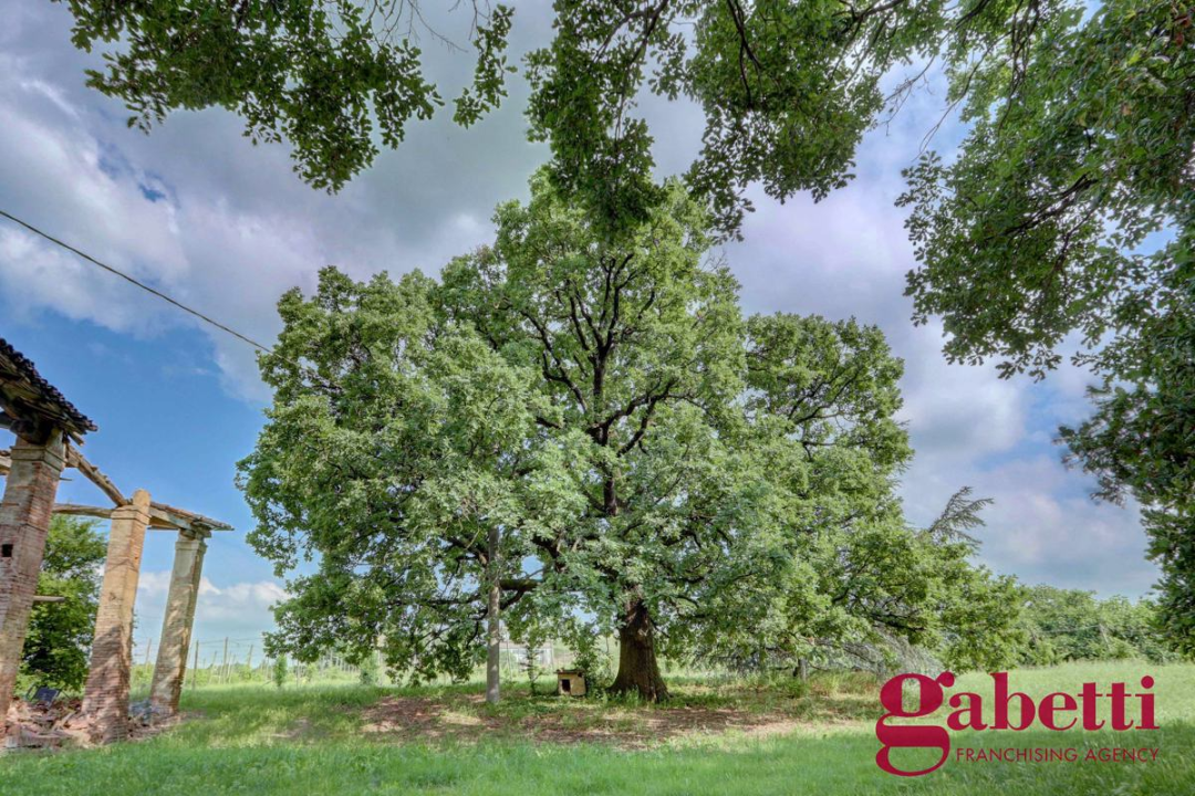 Casa Indipendente - Image 5