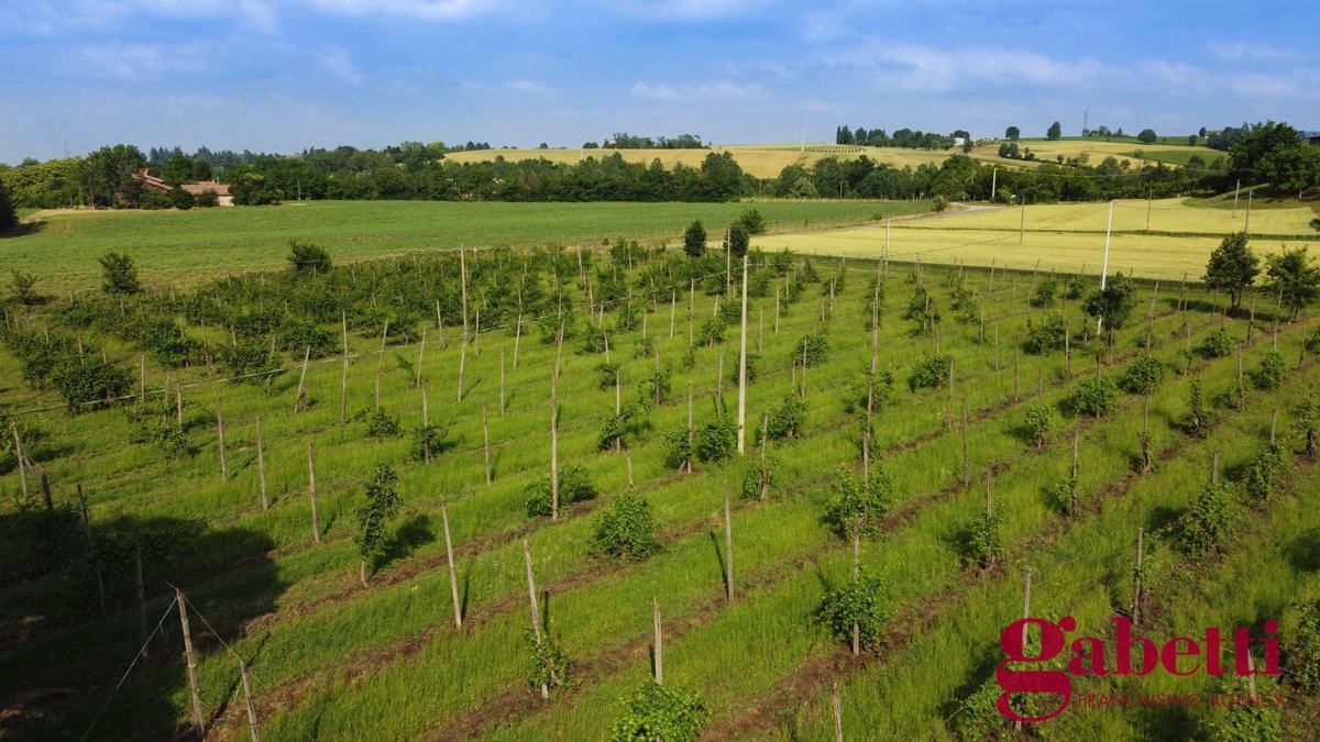 Casa Indipendente - Image 16