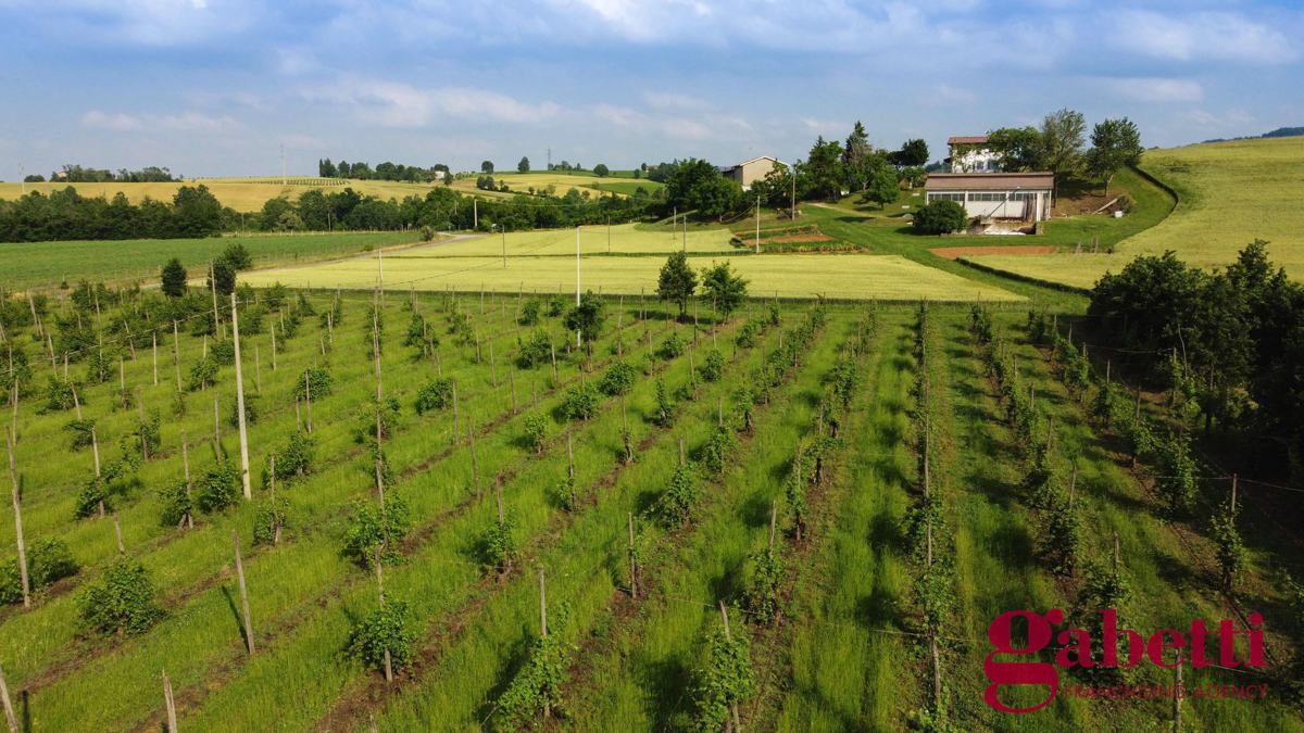 Casa Indipendente - Image 14
