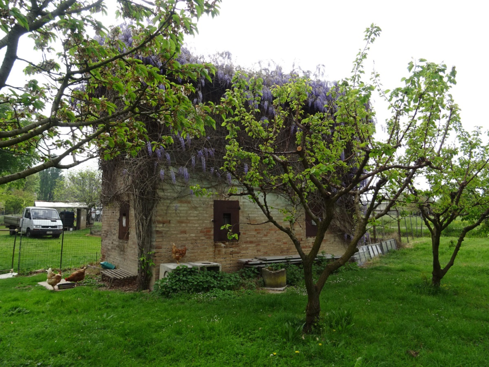 Casa Indipendente - Image 4