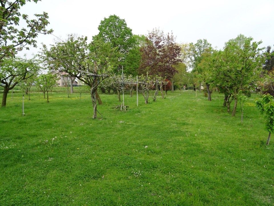Casa Indipendente - Image 5