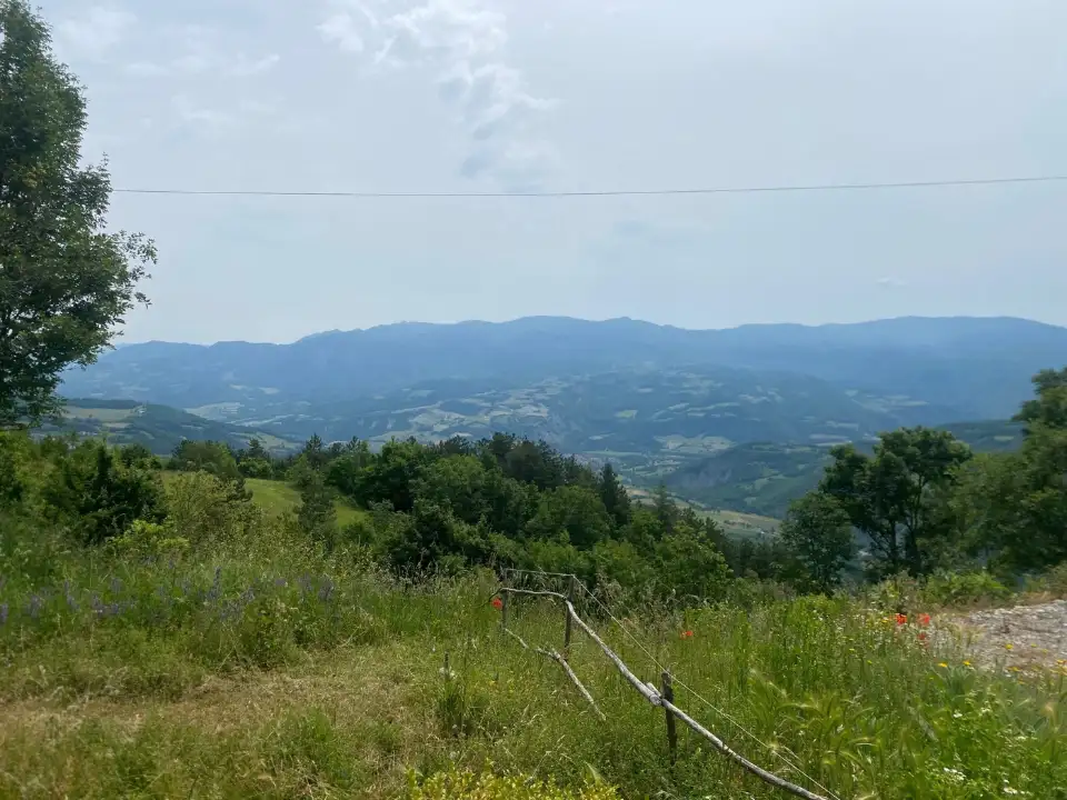 Appartamento - Image 23