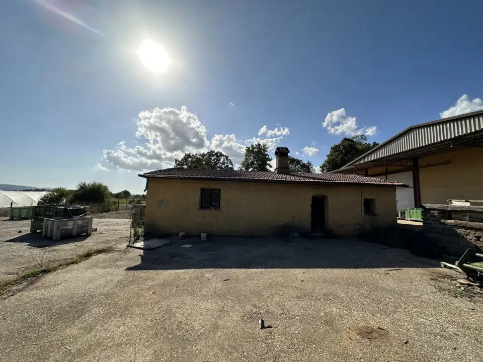 Magazzino - Image 11