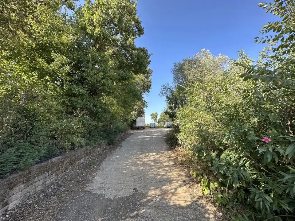 Magazzino - Image 18