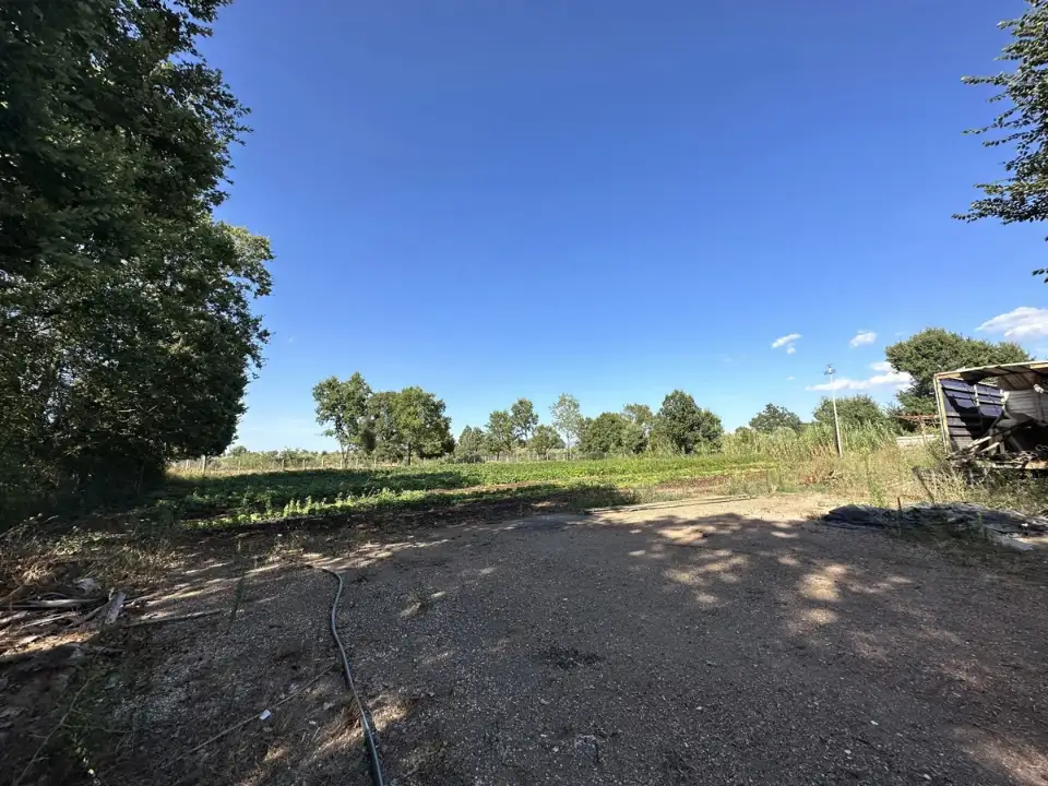 Magazzino - Image 14