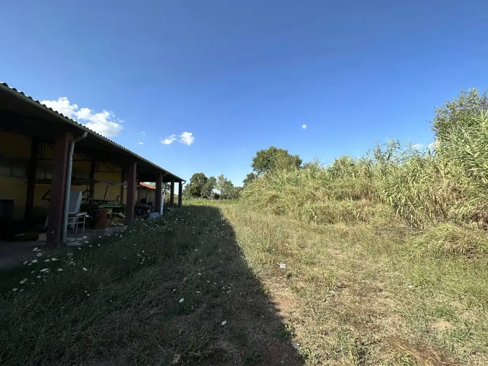 Magazzino - Image 15