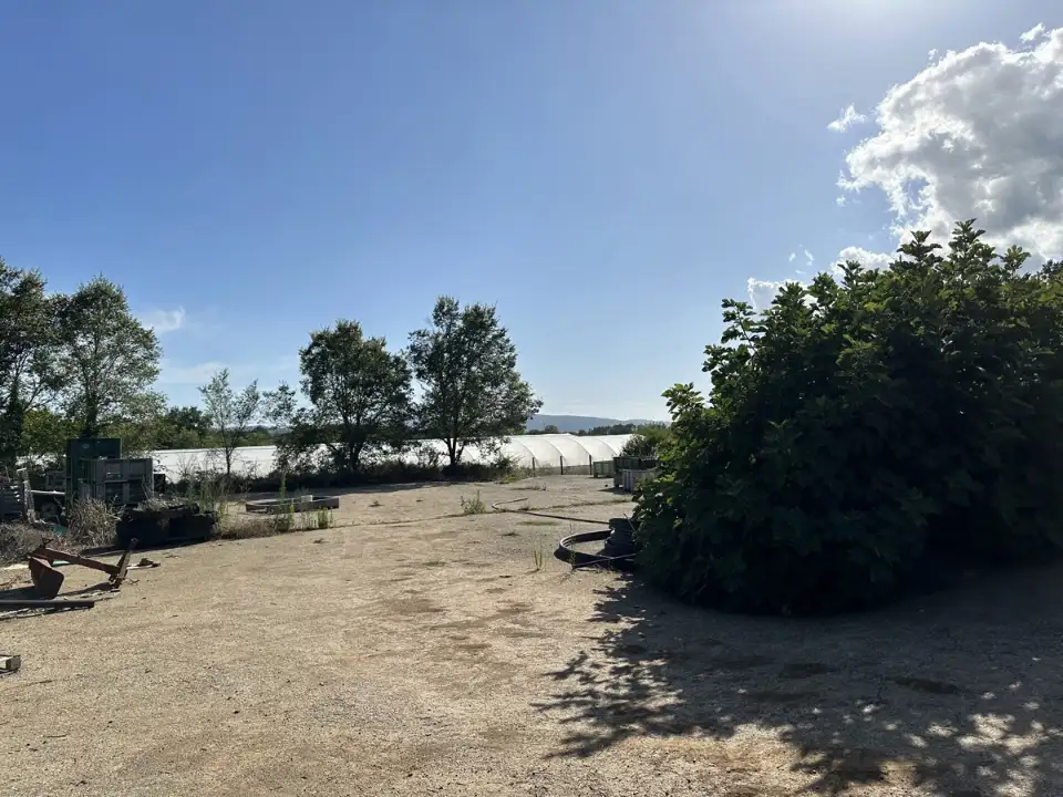 Magazzino - Image 13