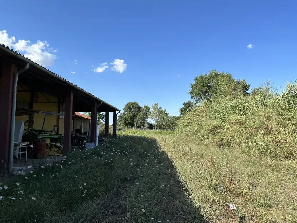 Magazzino - Image 18