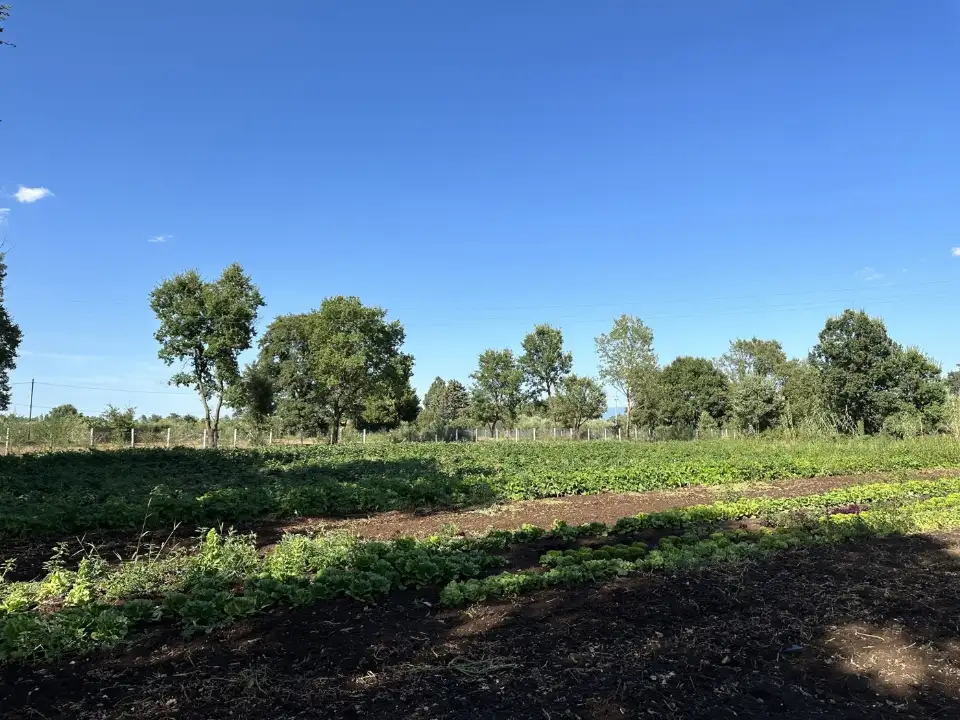 Magazzino - Image 13