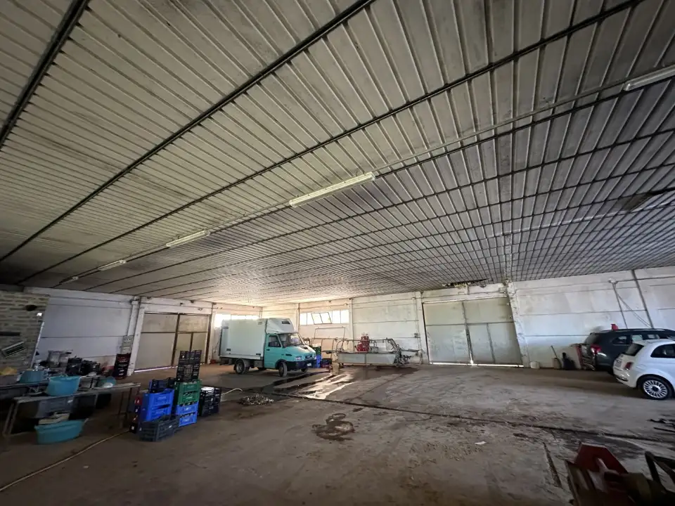 Magazzino - Image 14