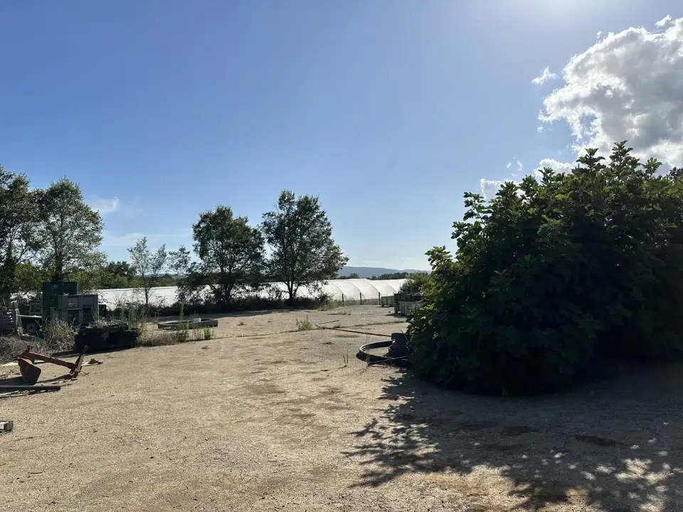 Magazzino - Image 19