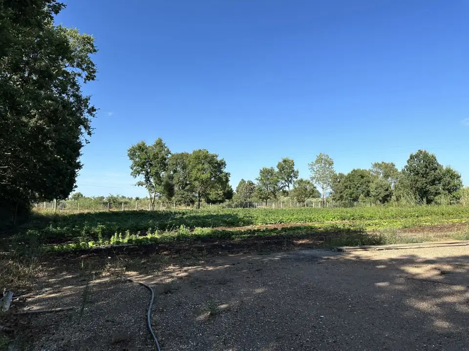 Magazzino - Image 11