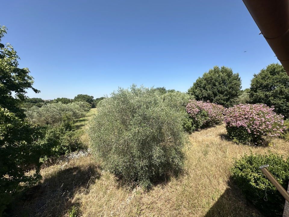Appartamento - Image 11