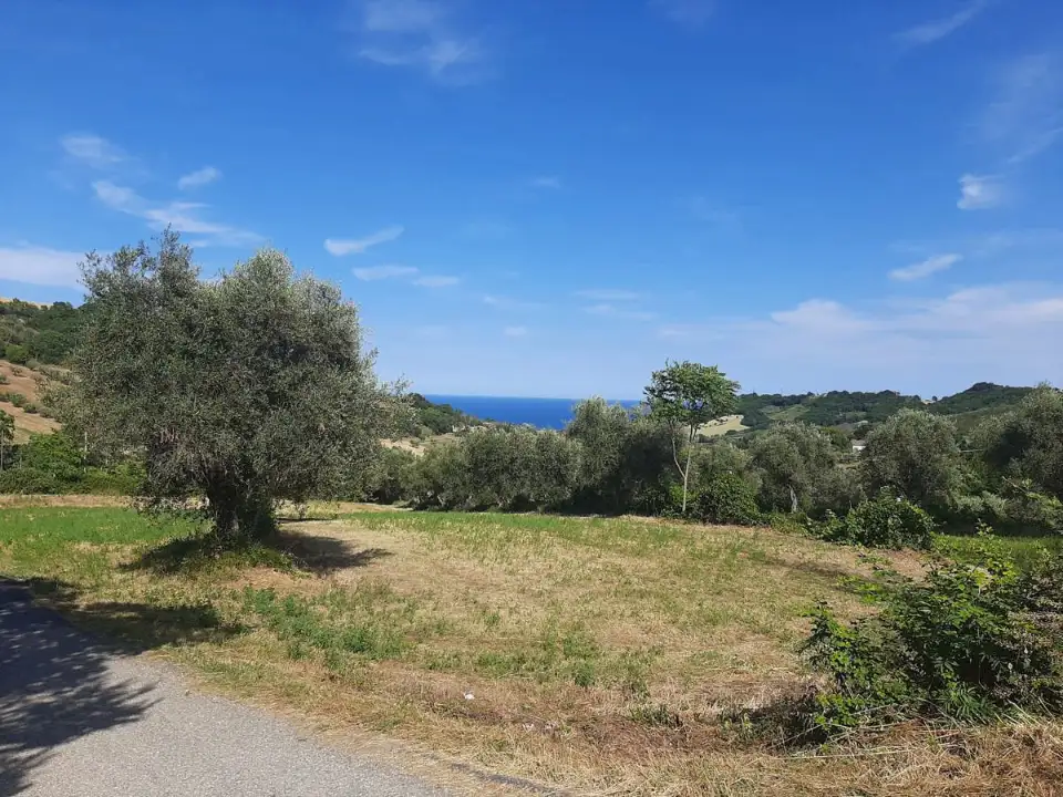 Palazzina - Image 10