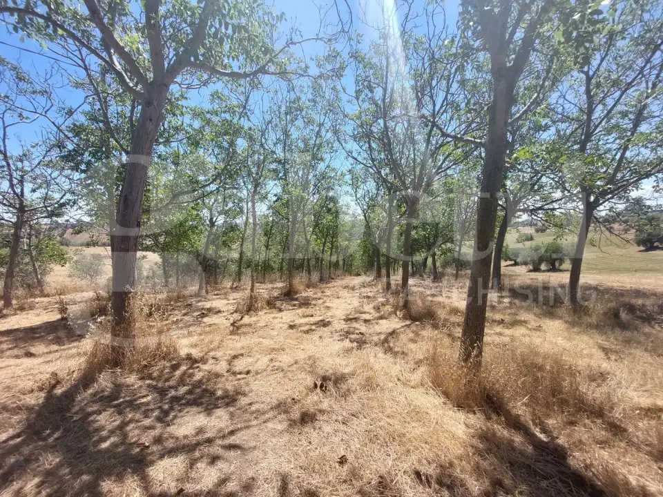 Appartamento - Image 13