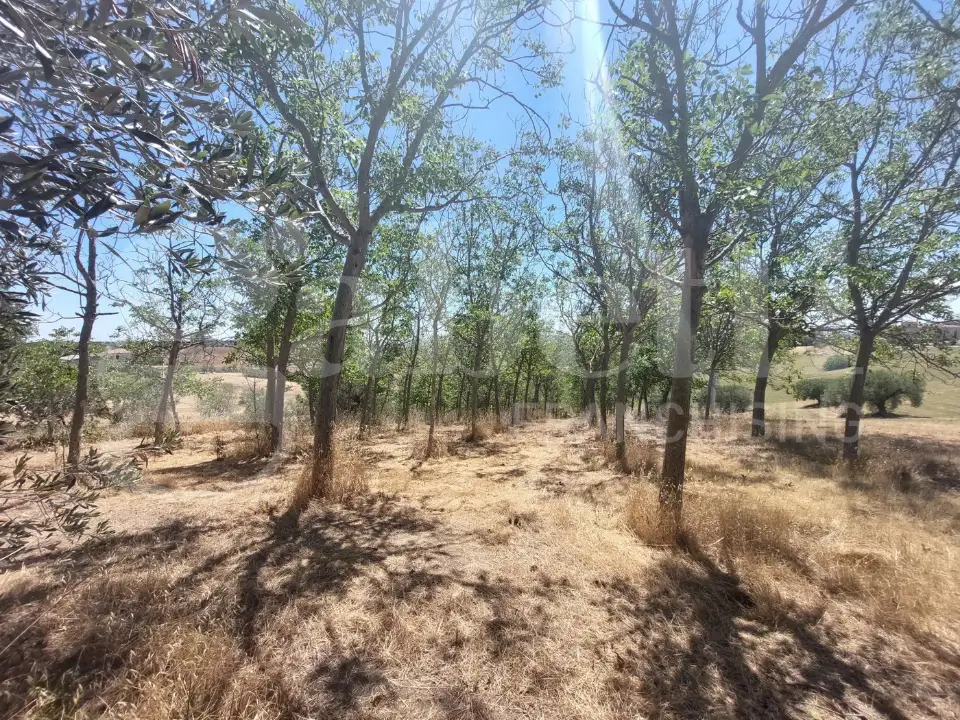 Appartamento - Image 11