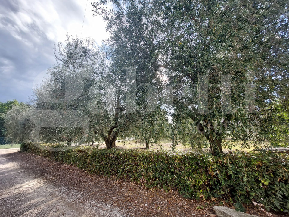 Appartamento - Image 26