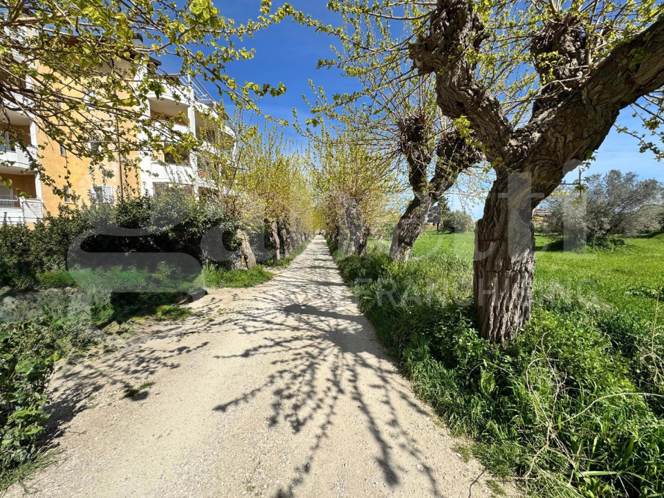 Appartamento - Image 23