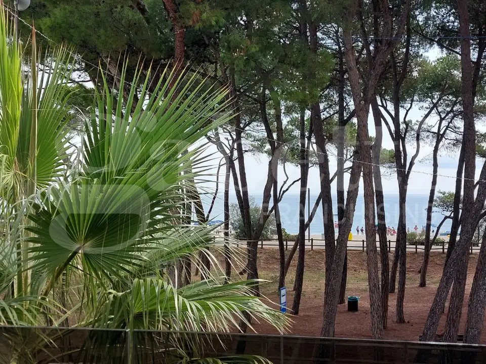 Appartamento - Image 5