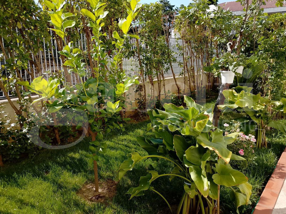 Appartamento - Image 23