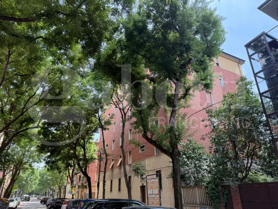 Appartamento - Image 30