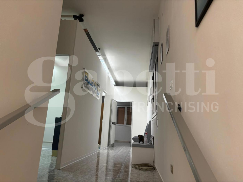 Capannone - Image 3