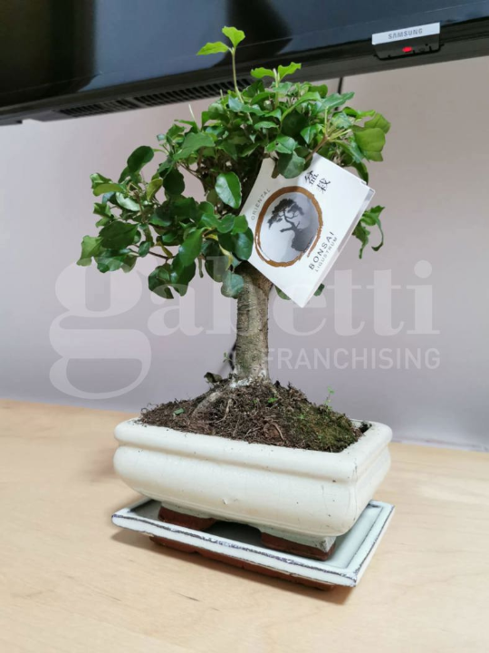 Appartamento - Image 10