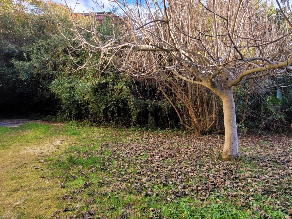 Appartamento - Image 42