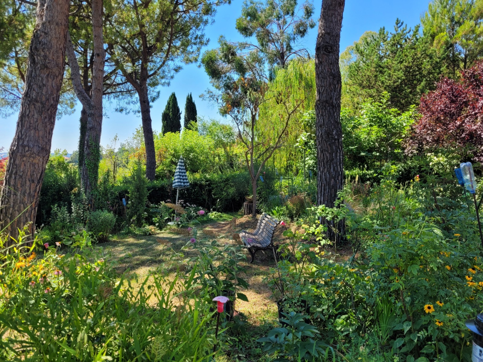 Villa - Image 49