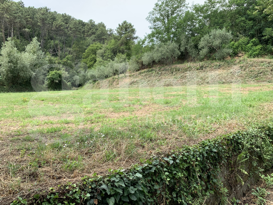 Casa Indipendente - Image 3