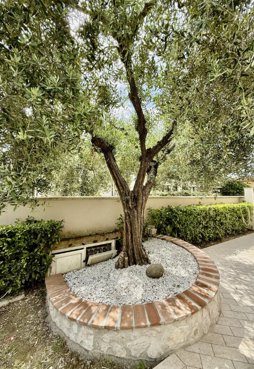 Casa Indipendente - Image 3