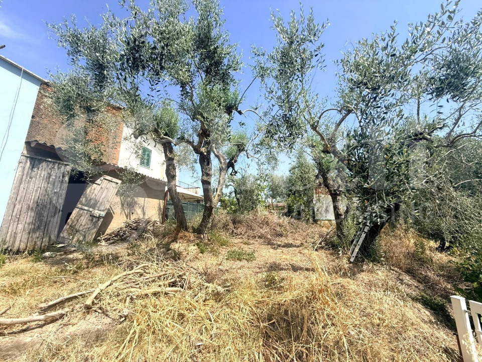 Casa Indipendente - Image 4