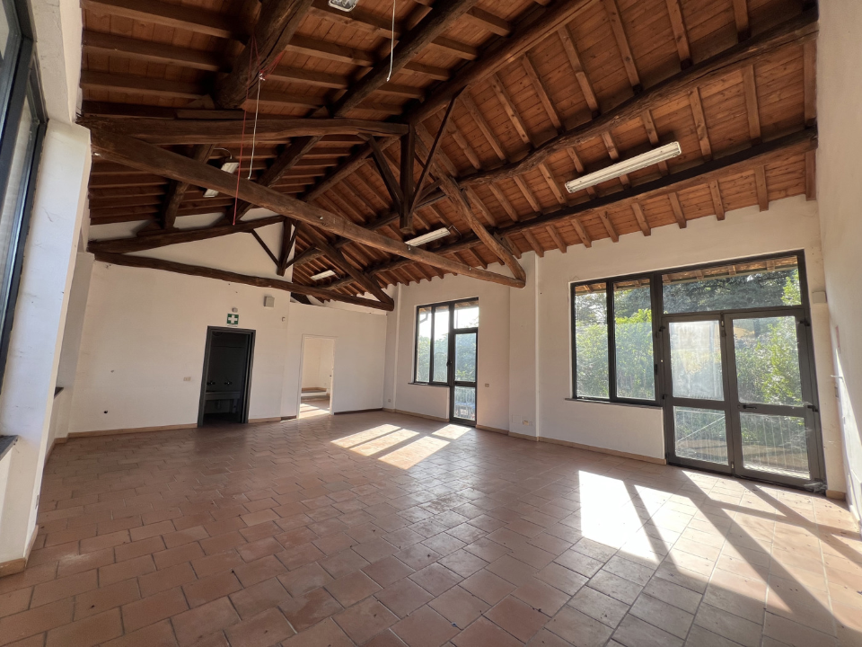 Attività - Image 19