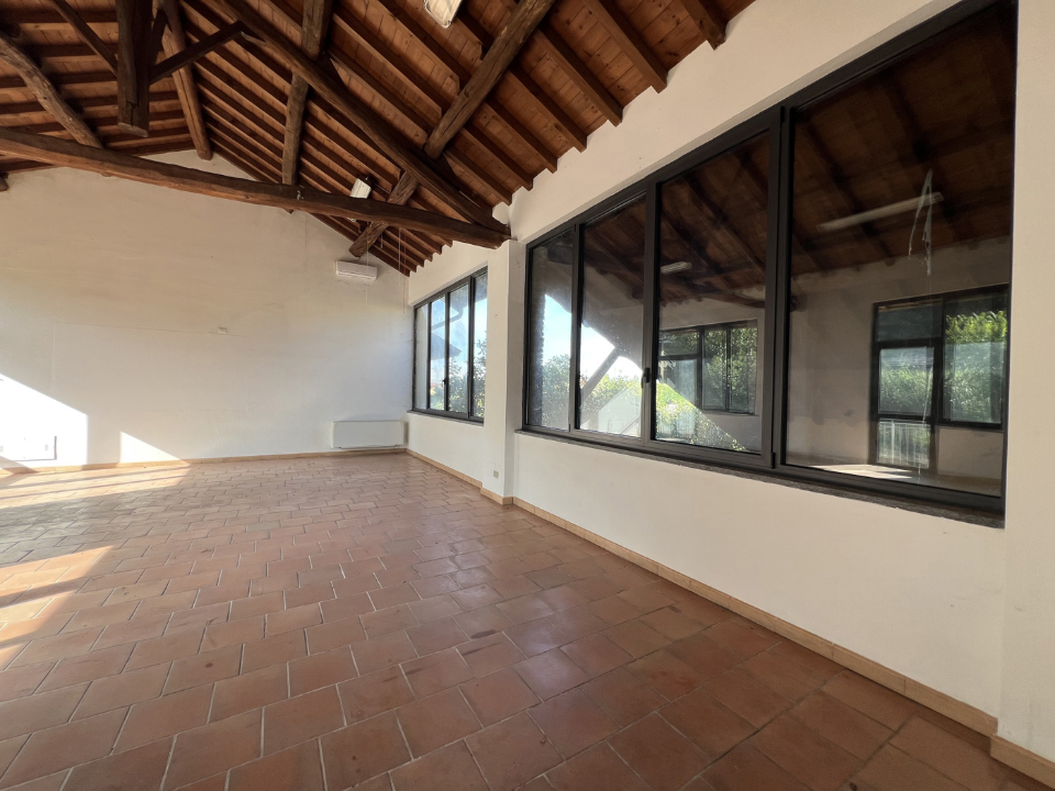 Attività - Image 17