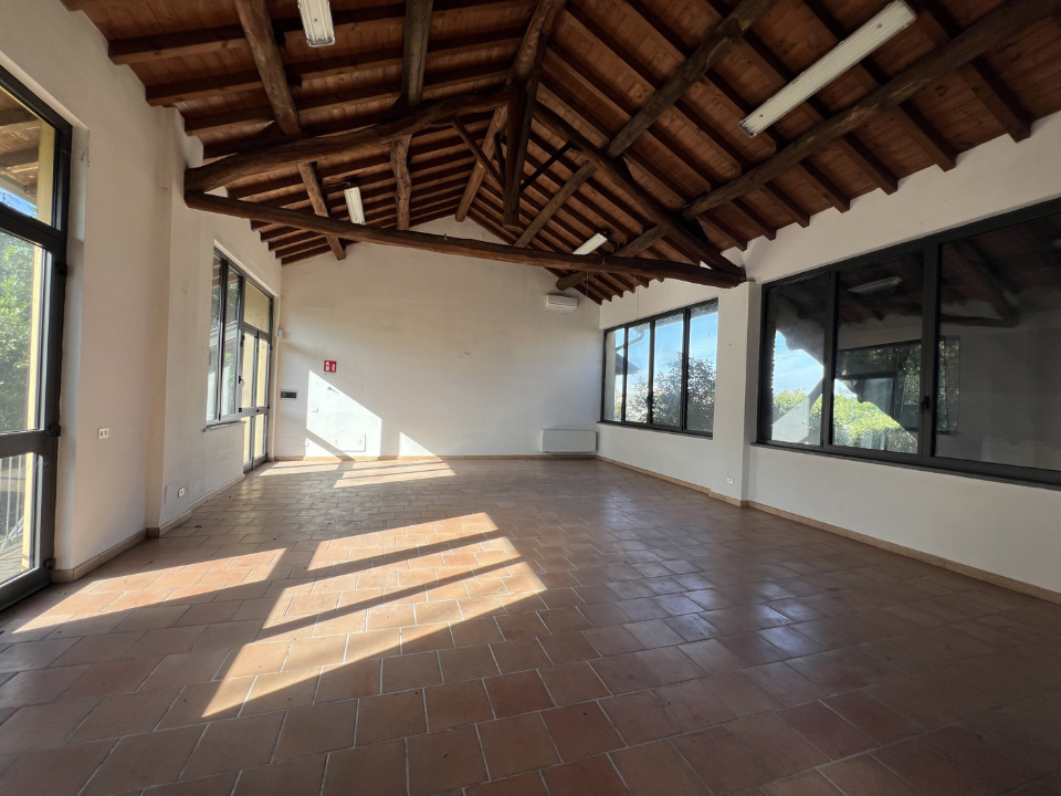 Attività - Image 12