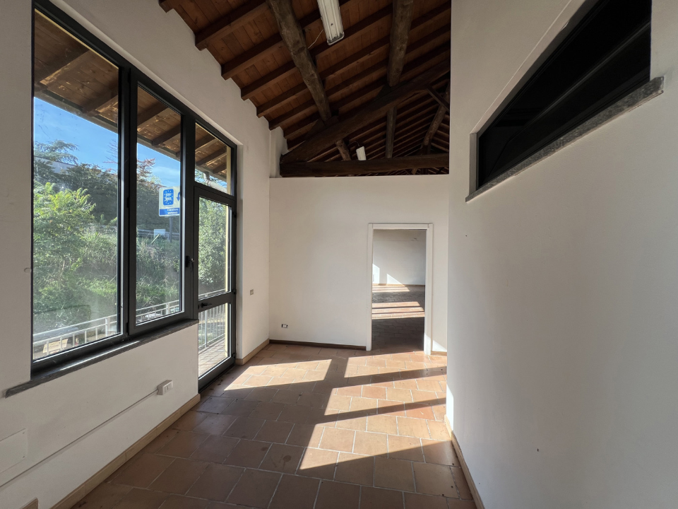 Attività - Image 11