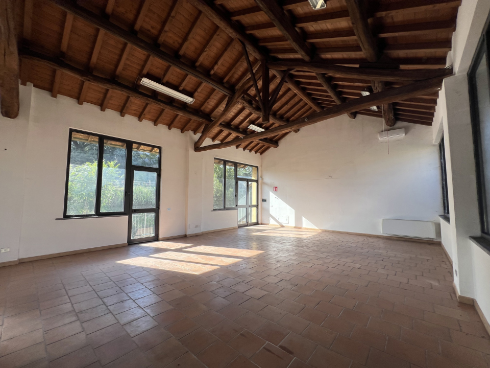 Attività - Image 18