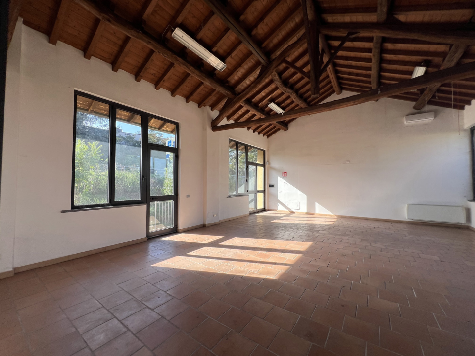 Attività - Image 16