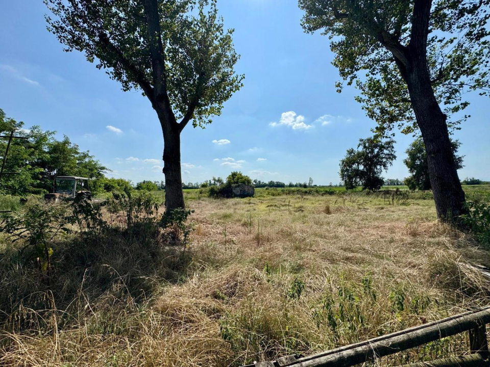 Casa Indipendente - Image 7