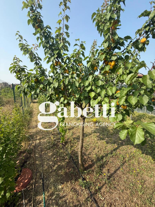 Casa Indipendente - Image 47