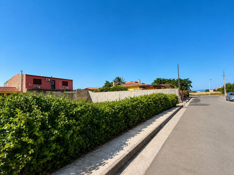 Terreno - Image 3