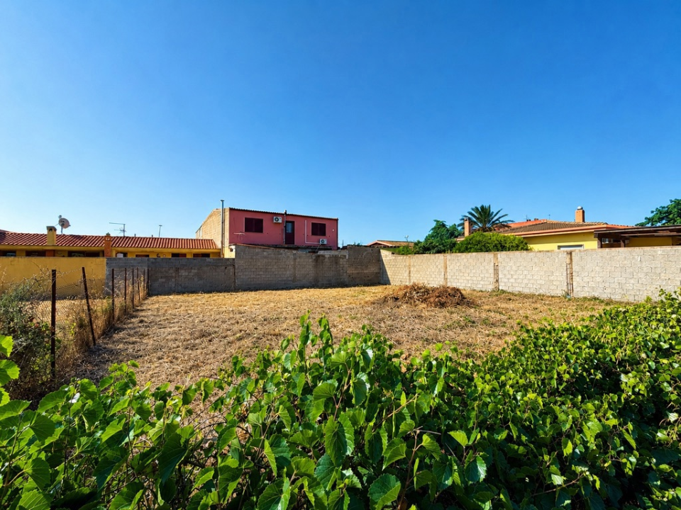 Terreno - Image 4