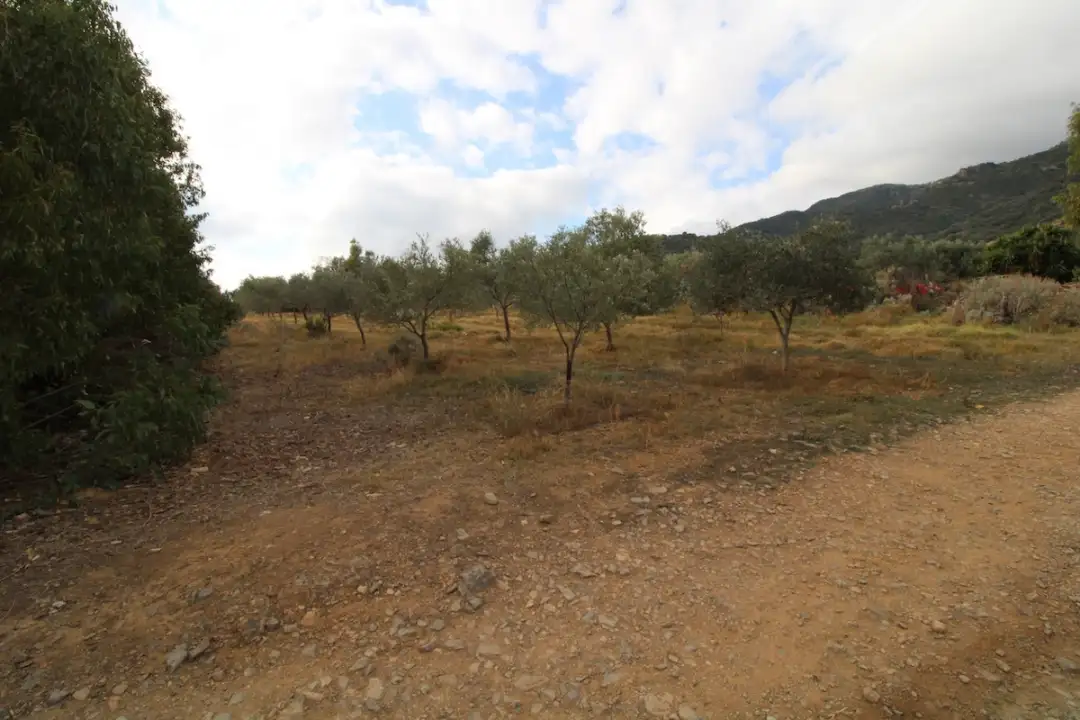 Laboratorio - Image 7