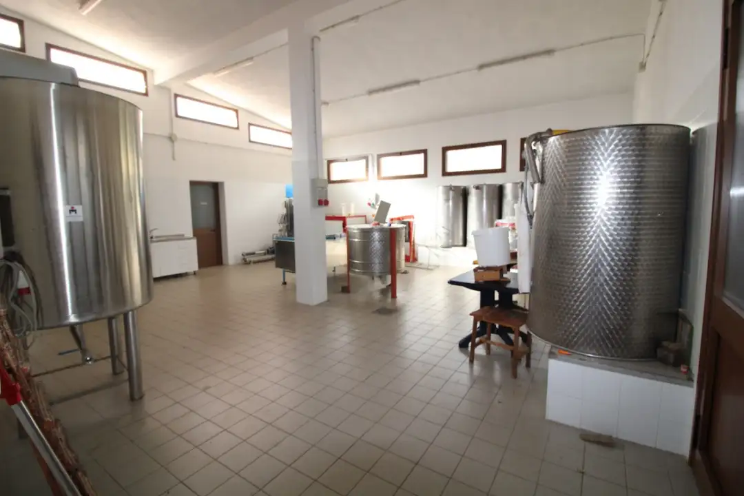 Laboratorio - Image 18