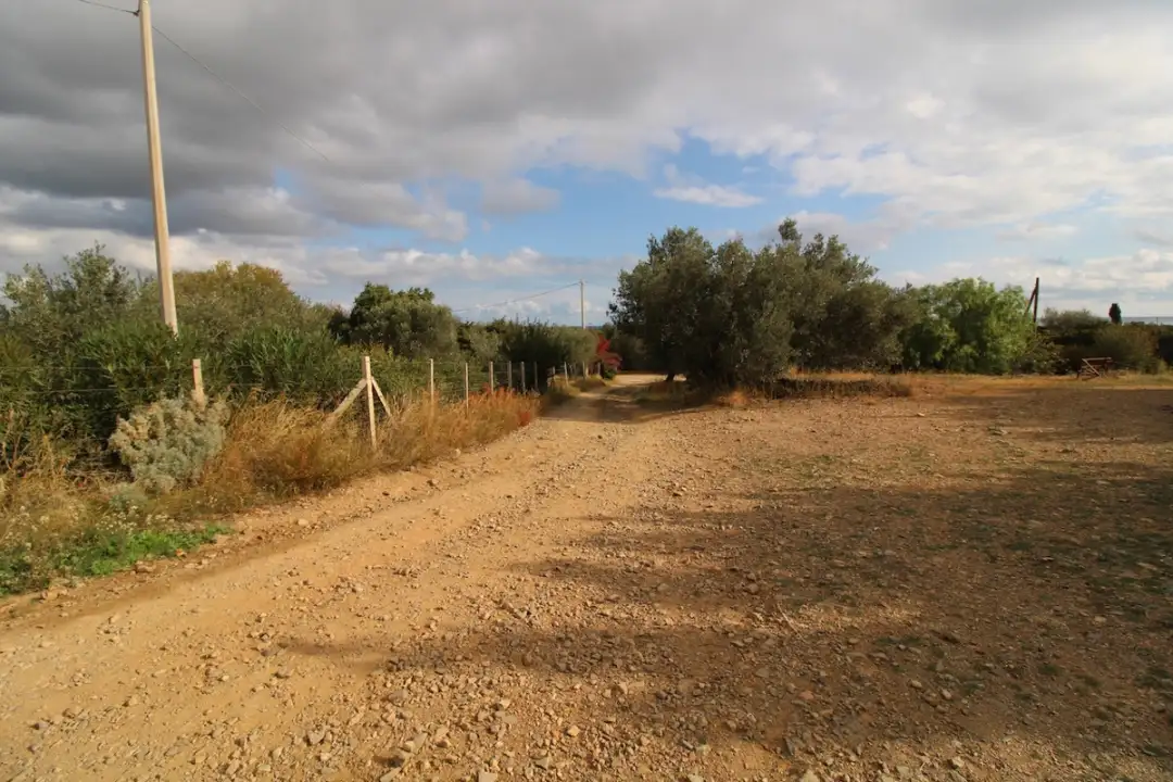 Laboratorio - Image 11