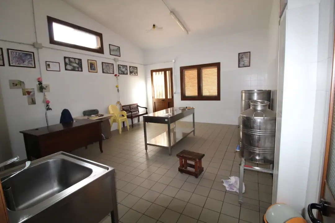 Laboratorio - Image 16