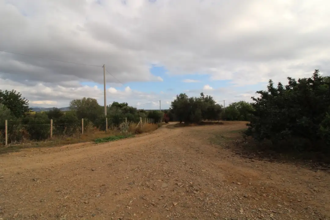 Laboratorio - Image 4