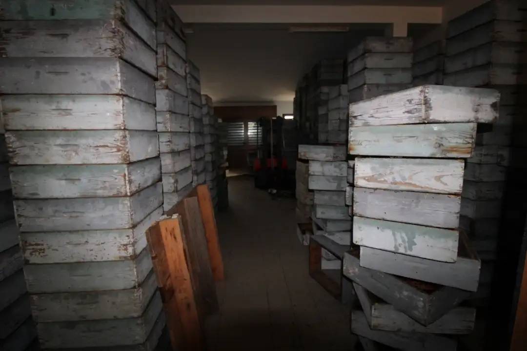 Laboratorio - Image 19