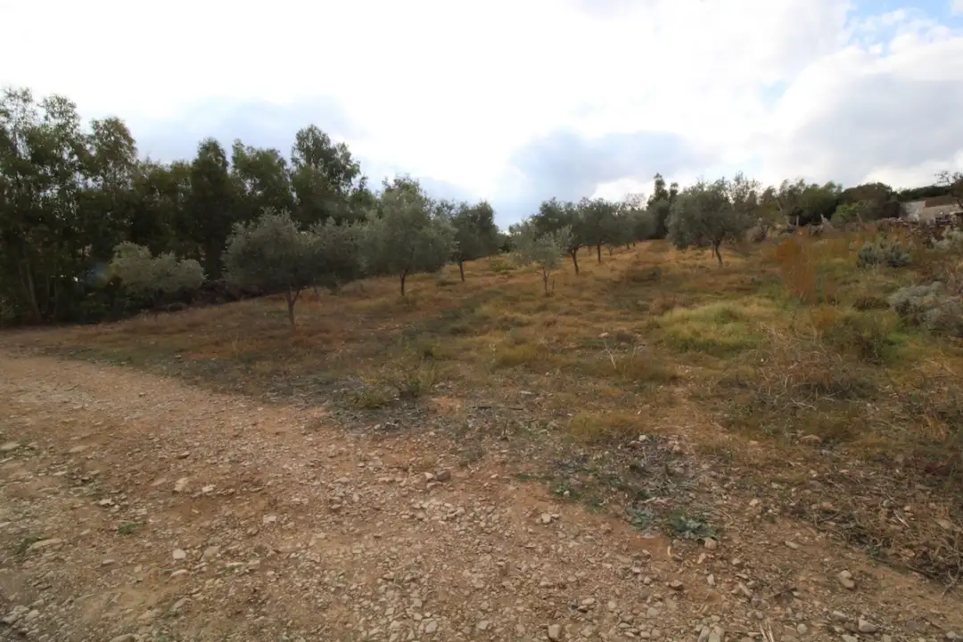 Laboratorio - Image 8